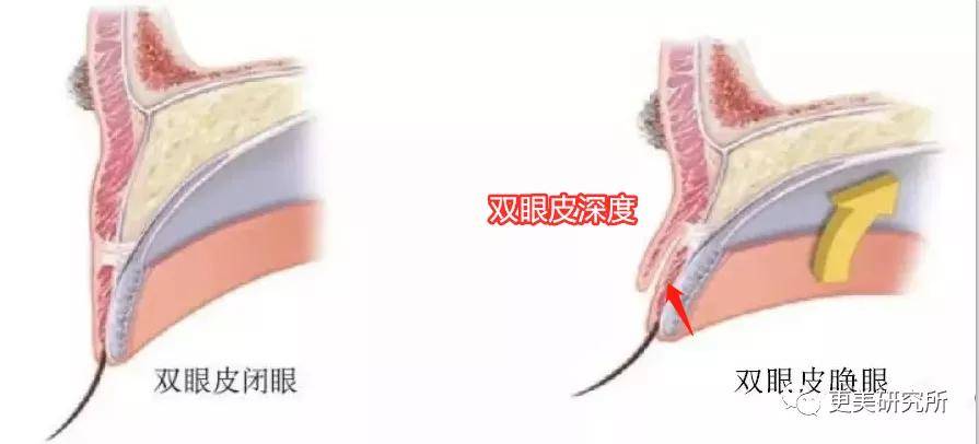 郭碧婷|比奚梦瑶、郭碧婷都惨的“豪门弃妇”，43岁颜值回春、好会do！