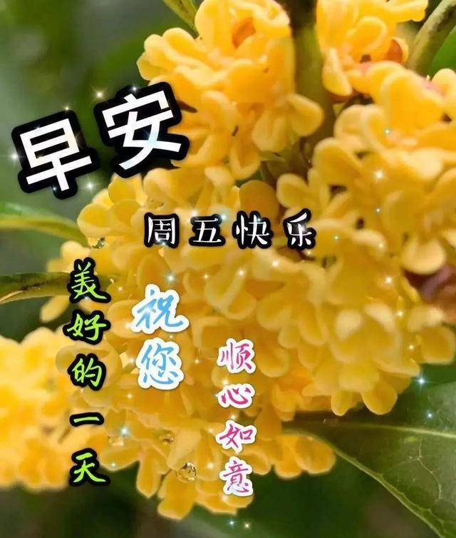 最新版早安温馨祝福句子,早上好问候语最美图片精选