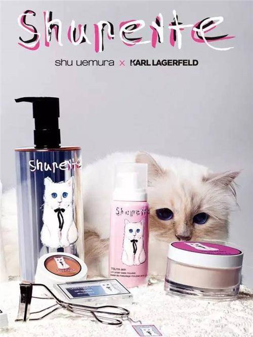 遗产|老佛爷去世后,那只继承了他21亿遗产的猫,现在生活得怎样?