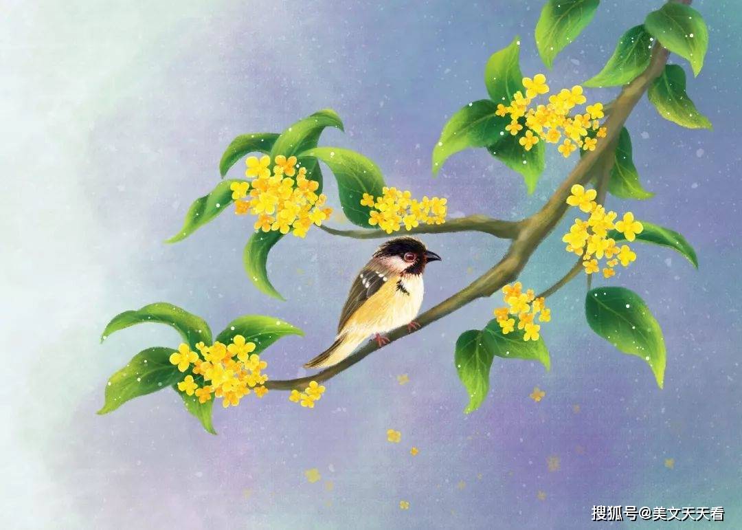 如果我是一枝秋色,但愿是桂花