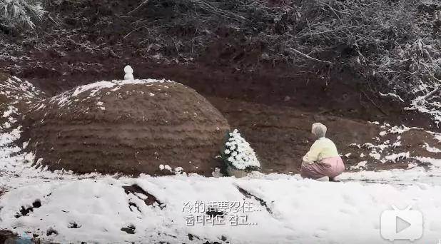 《亲爱的,不要跨过那条江》无数人泪流满面