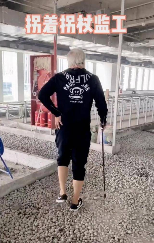 60岁林瑞阳现身工地监工,腰痛难忍走路靠拄拐