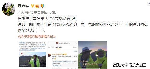 原创刘宇宁就摘雪莲一事道歉，澄清系节目组道具，植物学家打脸：不可能是人造的