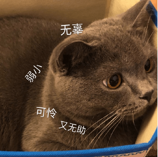 原创幽默笑话:嘴馋下楼点了一碗酸辣粉