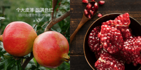 用户|互联网新农业，网易严选“寻味中国”扶持中国品质农货