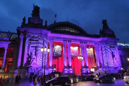 中国艺术家入围法国政府文化部主办巴黎大皇宫博物馆国际艺术展