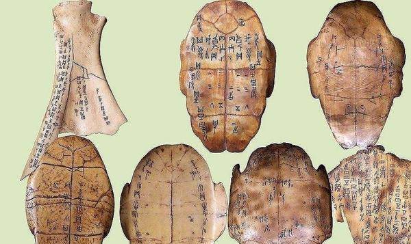 第四片甲骨大结局 来自搜狐网