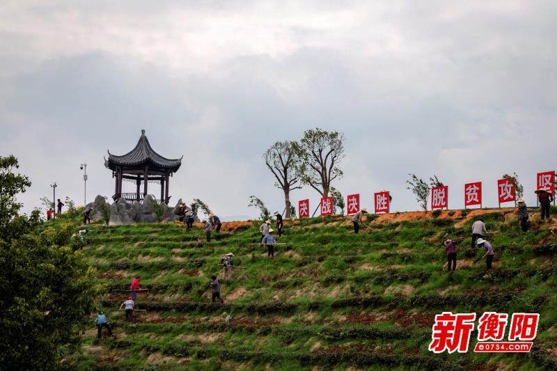 衡山经济总量_南岳衡山图片(2)