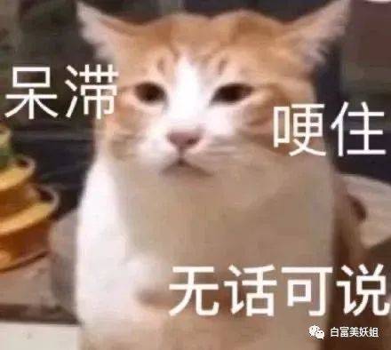 老婆|晚晚豪门礼物大赏，真“寒门贵妇”…