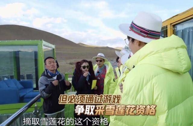 极限挑战节目翻车?刘宇宁采摘二级珍稀植物?节目组发声明回应
