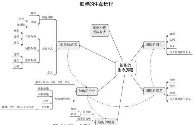 高中生物必修:细胞模块的思维导图,助你复习考试无忧