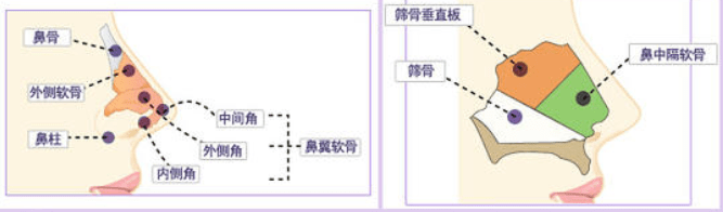 陈汉典|什么叫惨？同一个妈，欧阳娜娜少男杀手，姐姐怎么长成了陈汉典！