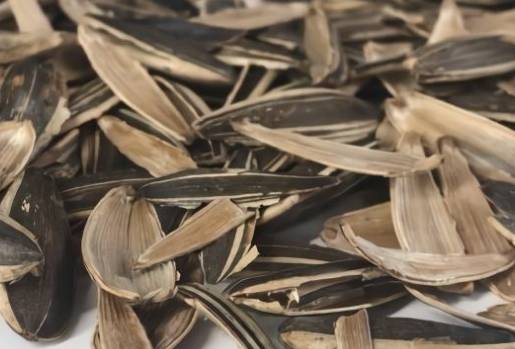 零食|没事吃点“零食”,一月一次,花开盆盆红养盆“康乃馨”