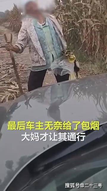 ee369d954a3540ada711bd13d4308ae4.jpeg