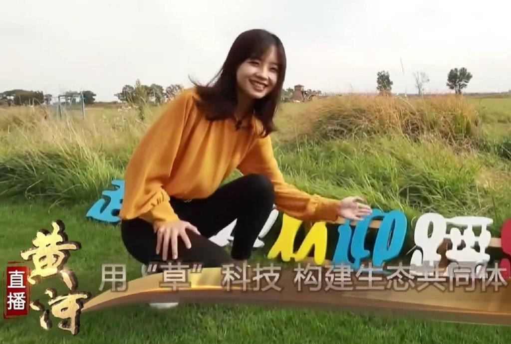 杨宗纬|央视惊现最美女记者,清新甜美与董卿气质完全不同