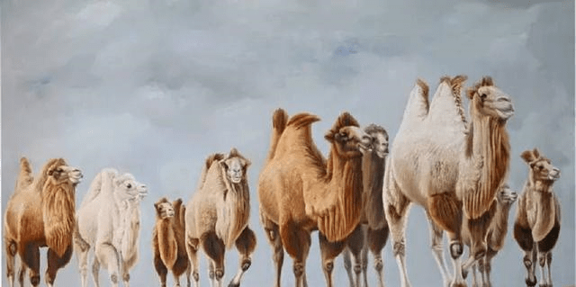 艺术家恩和的骆驼题材油画作品欣赏