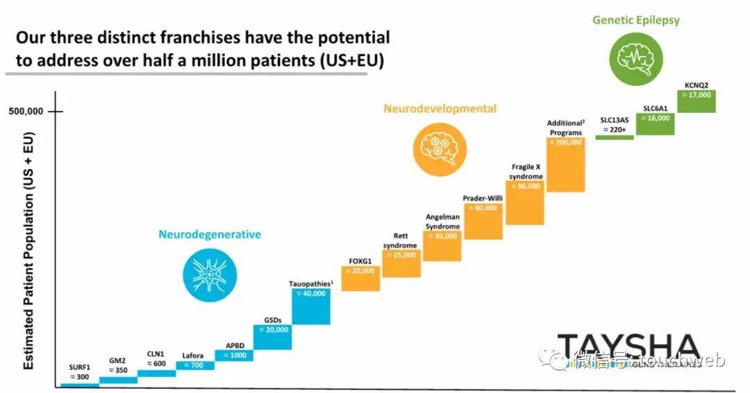 Taysha|基因治疗企业Taysha冲刺美股：拟募资上亿美元 路演PPT曝光
