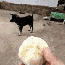 头像|据说最近很火：人工智能画的3D头像