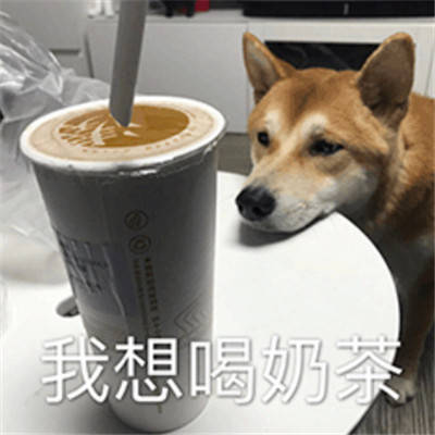 最热的入秋第一杯奶茶表情包