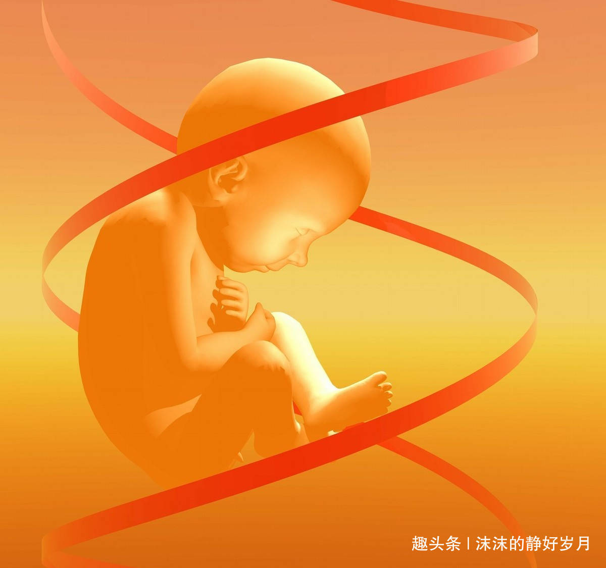 宝宝|会导致胎宝宝脐绕颈？还是听听专家的解释吧孕妈妈常摸肚子