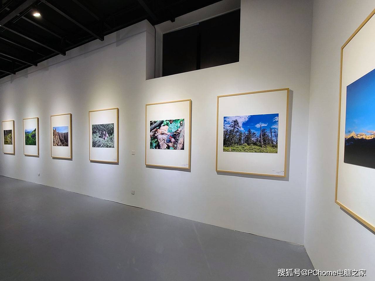 骁龙|高通举办骁龙影像展 底层技术助力手机优质视频创作