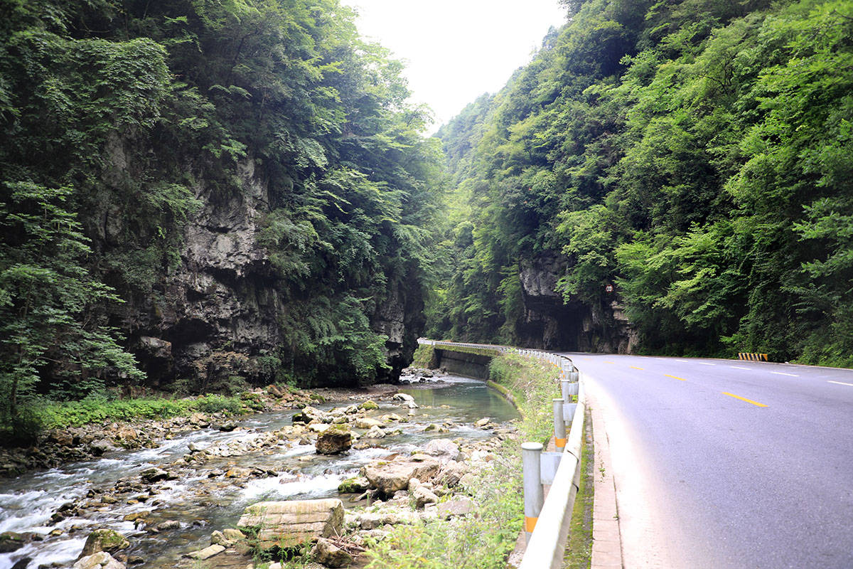 鄂西游记(四):走进神农架——天燕景区