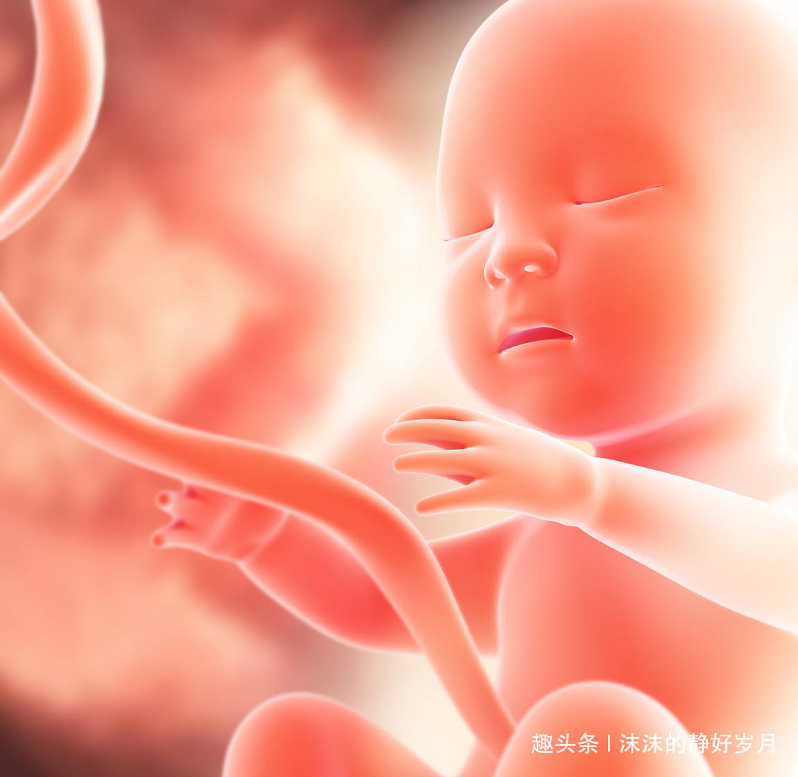 宝宝|会导致胎宝宝脐绕颈？还是听听专家的解释吧孕妈妈常摸肚子