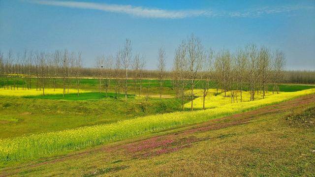 光山gdp_光山二高(3)