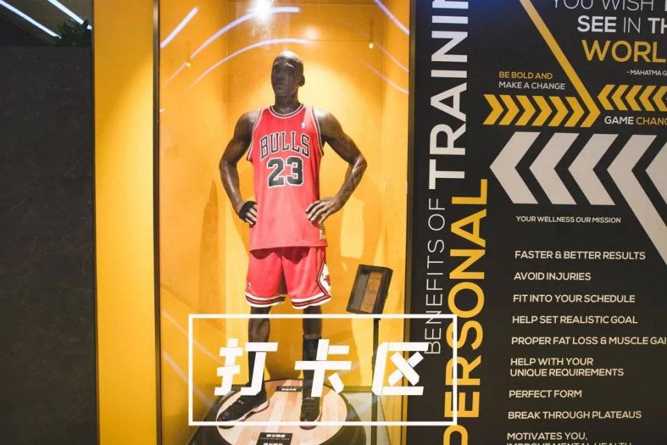 器械|艺术馆健身房，老板竟是吴尊…