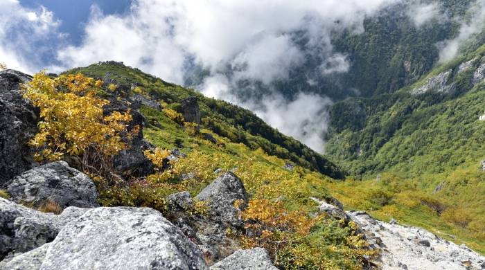 家电导购员的老困惑：店里没有人，怎么卖货赚钱？-家电圈官网