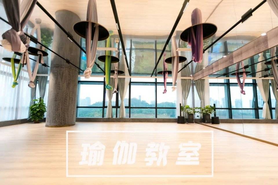 器械|艺术馆健身房，老板竟是吴尊…