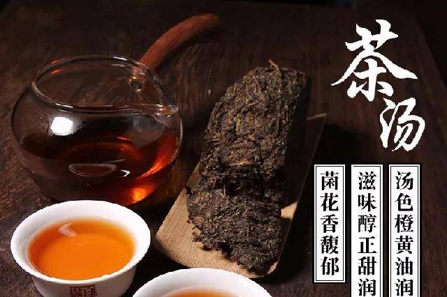 常喝茯茶的15点好处