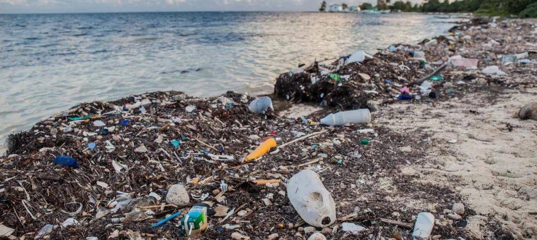 海洋污染治理刻不容缓 海中心清胶效果存疑 源头减废才是正道?