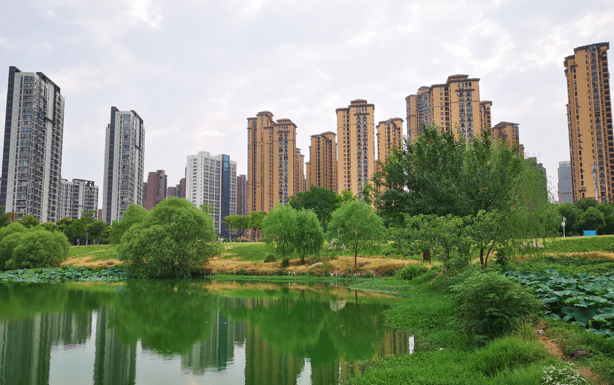 丽水人均_丽水学院(3)