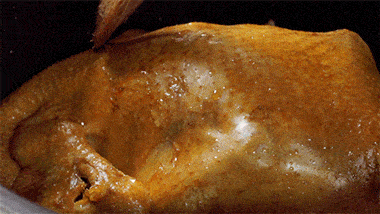 38c3207eab1a4b58b19ee8da4f884ccb.gif