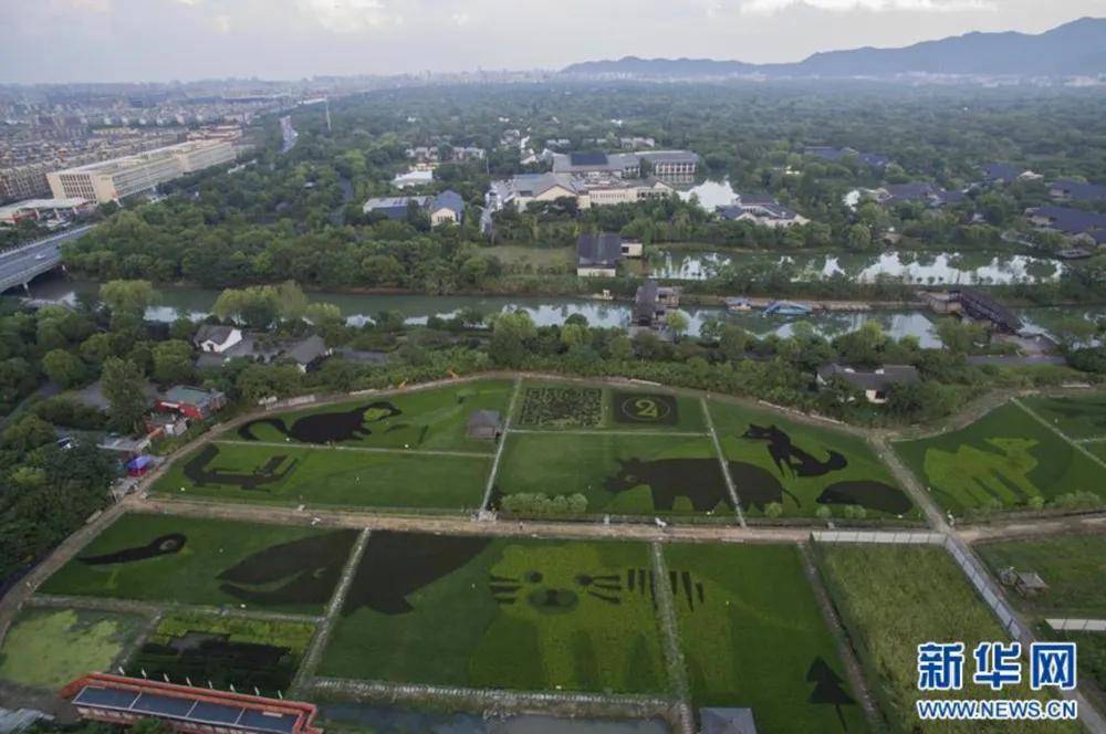 武汉成都gdp_武汉封城图片(2)