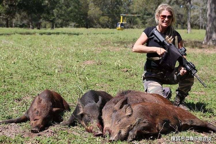 美国野猪数量有多少 457952bedcc84cefbe22a0b931498ab9.jpeg