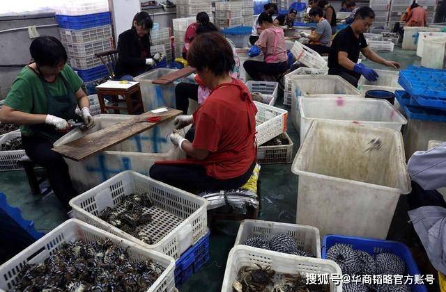 螃蟹|99%阳澄湖大闸蟹是冒牌，养蟹上市公司不赚钱，差点转型卖避孕套