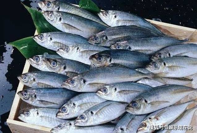小鱼怎么吃有营养 acae796c66854240bcd0ee0696b03ba3.jpeg