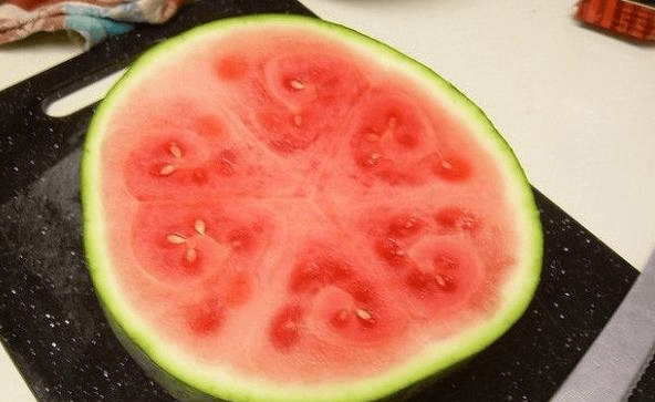 西瓜怎么分别公母 0f2a399fe49f44f9b4dae9ea6c6ae7c6.png