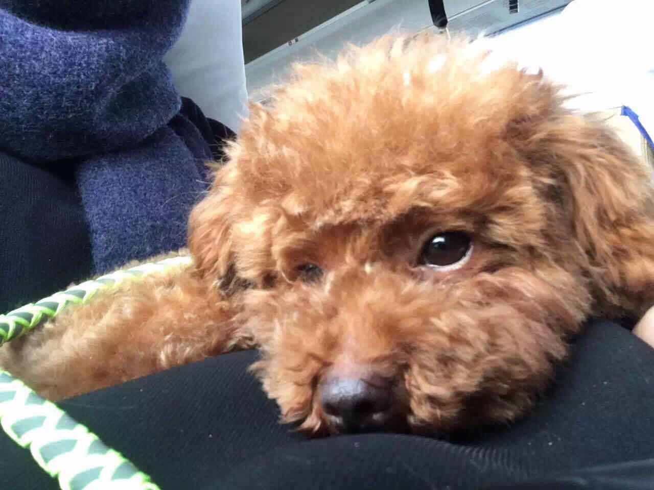 朋友|陈列设计师培训体验中赫时尚-坐在银行柜台前的，那根本不是我