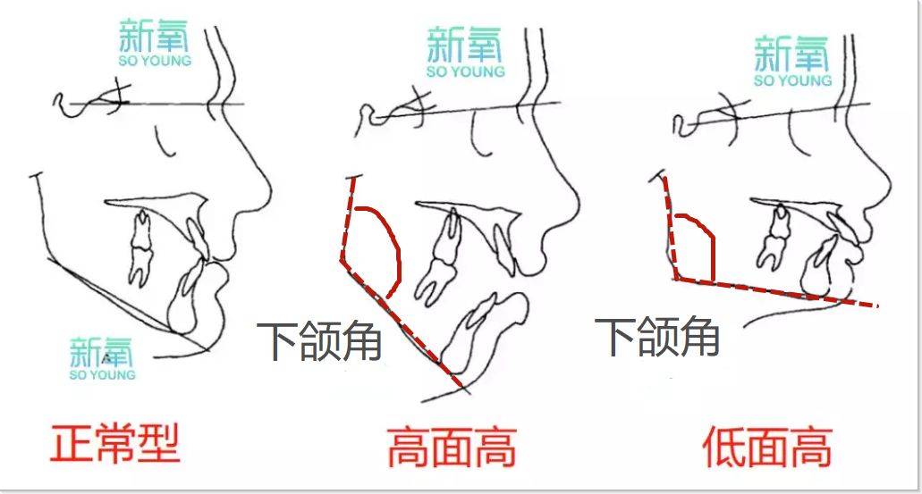 张脸|20年前碾压宋慧乔的神颜又杀回来了，这张脸怎么一点没变？