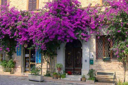 015fb76ac8204bbaaea34cc9a481ff1c.jpeg