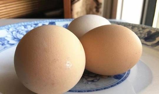 烧水壶怎么煮鸡蛋才能煮熟 c35ac1b954ce46cba4efd70c0b070d6b.jpeg