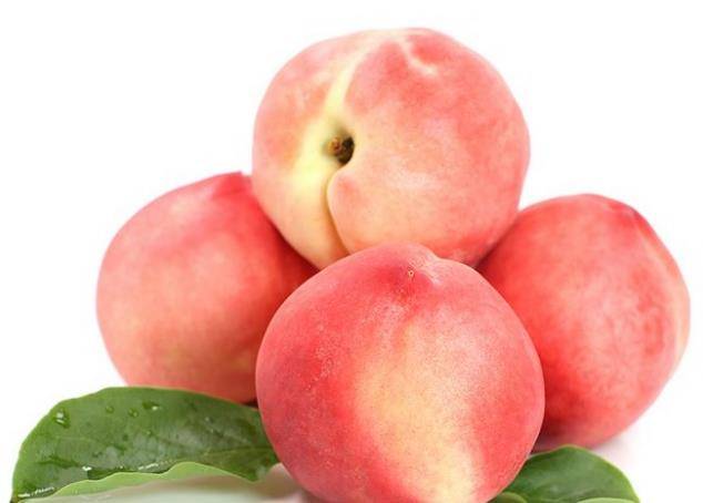 怎么在家种植桃子 d73a285c47ce4834b3fec22d8071c5ce.jpeg