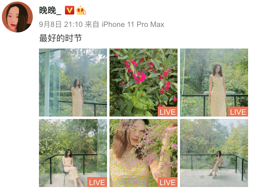 结婚证|郭碧婷产女被奖励一栋别墅，可结婚证还能领到吗？