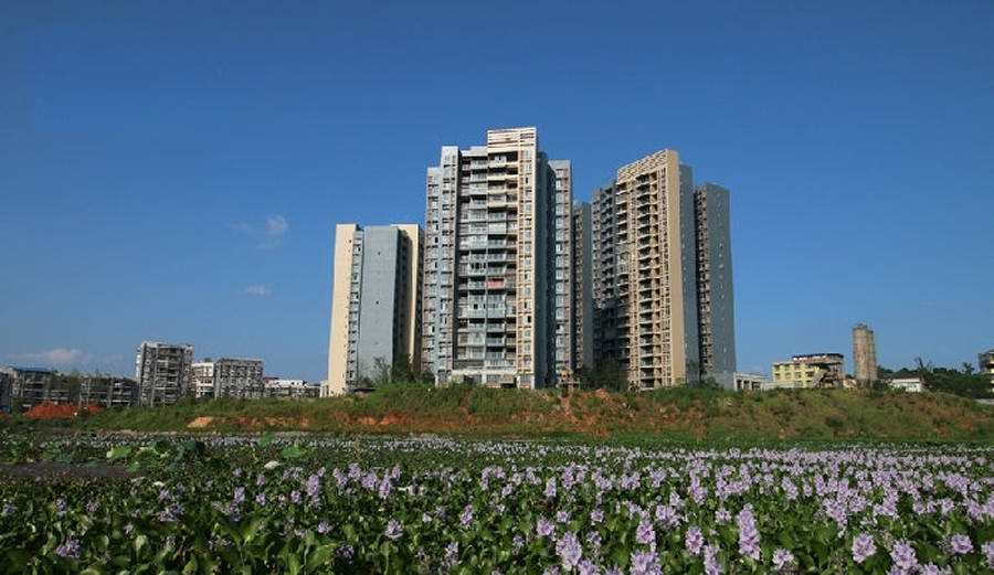 宜宾市多少人口_宜宾市四中照片(3)