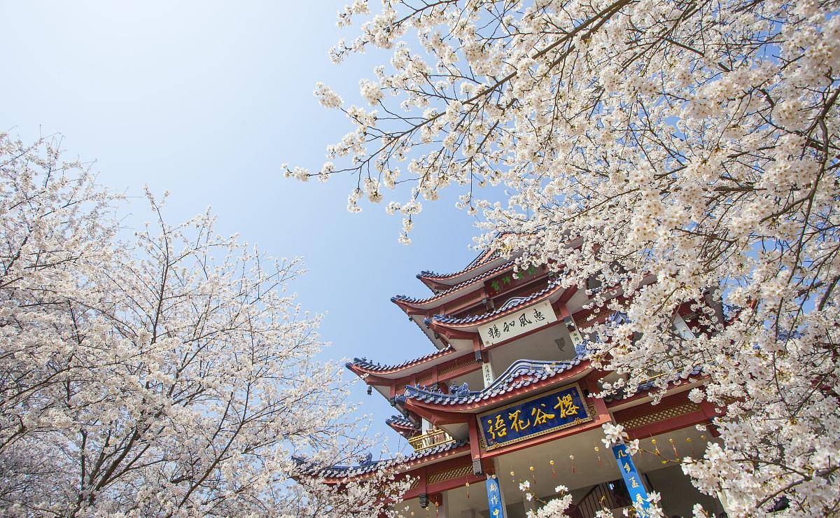 兰总GDP_中国gdp增长图