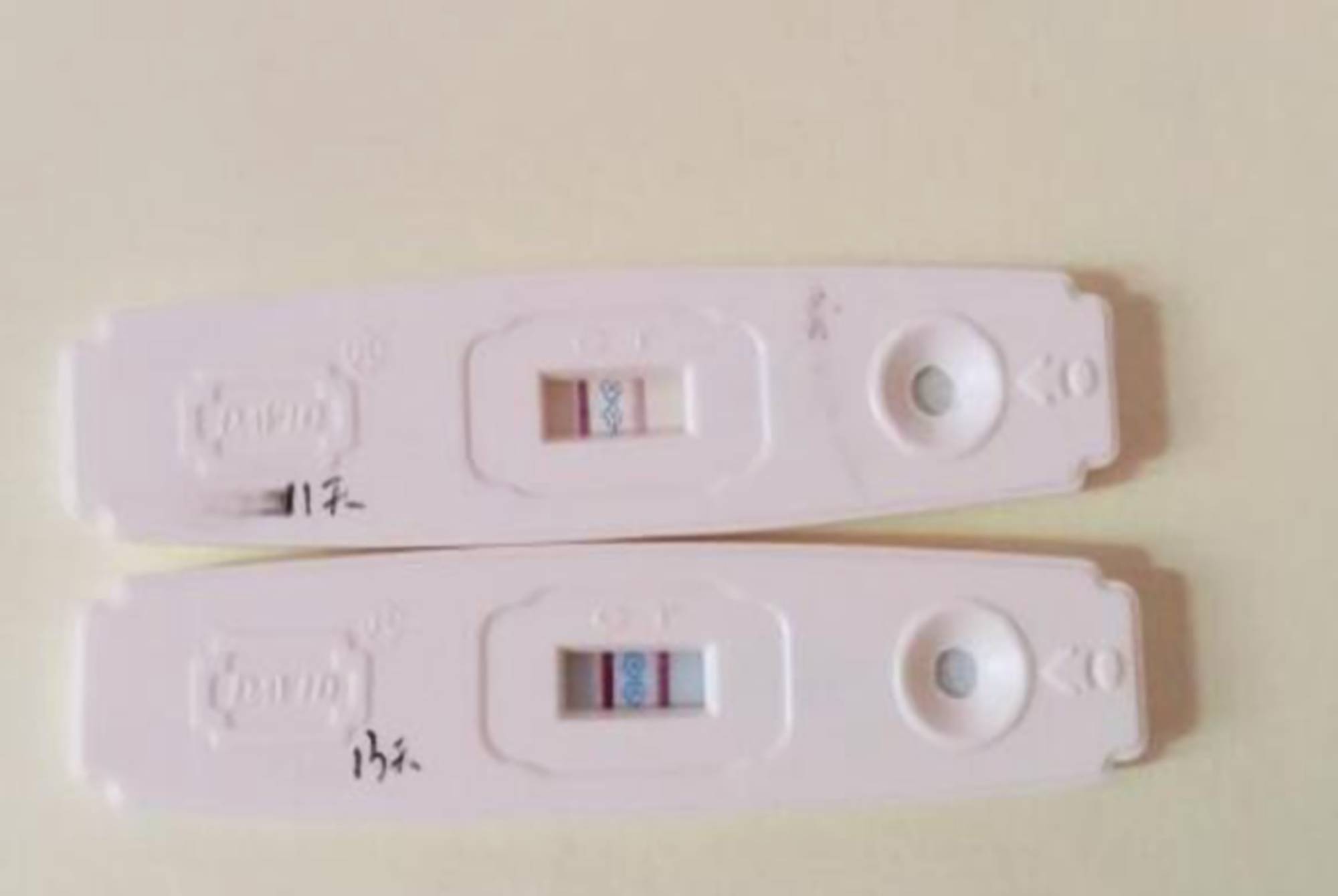 验孕棒显示什么是怀孕