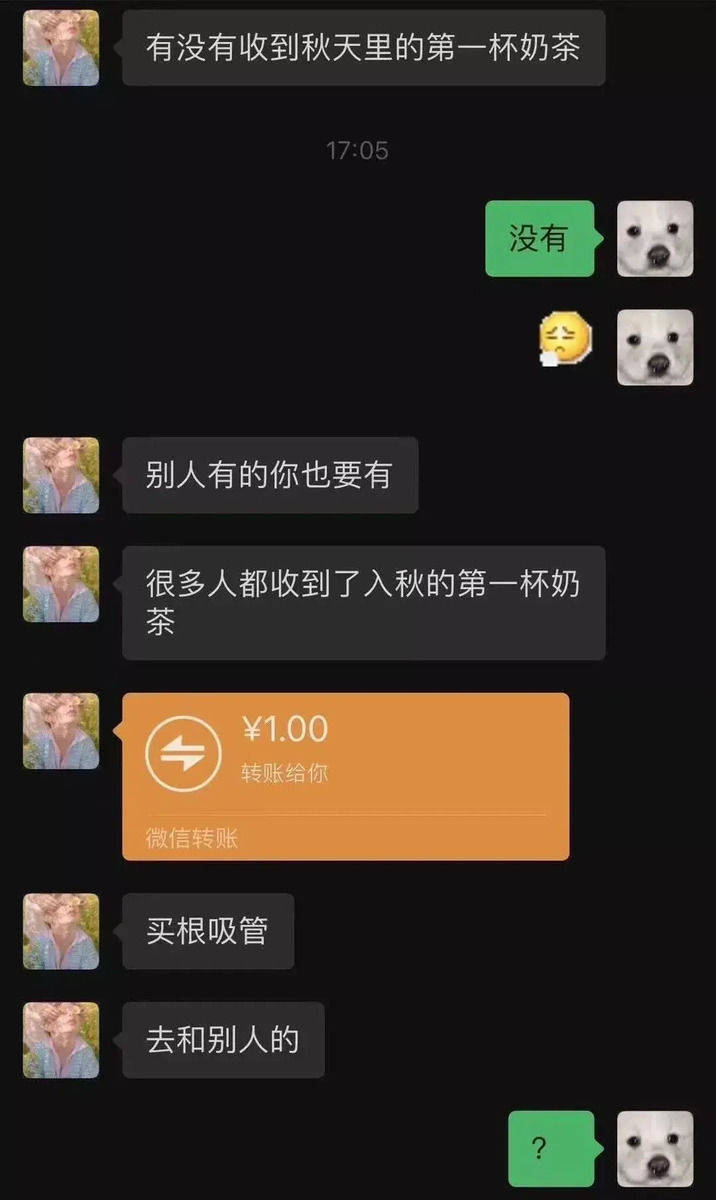 他们的脑回路不一般!网友:又爱又气,已笑喷